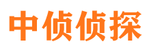 碾子山侦探社